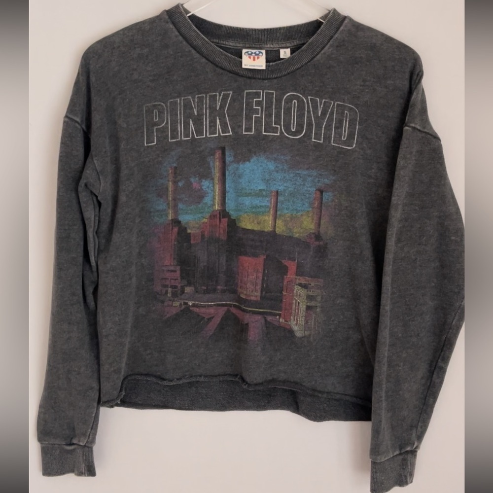 PINK Floyd graphic Crew Neck Dark Grey Junk Food Small - Picture 2 of 9